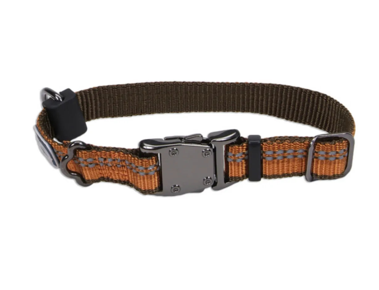 Coastal K9 Explorer Reflective Dog Collar