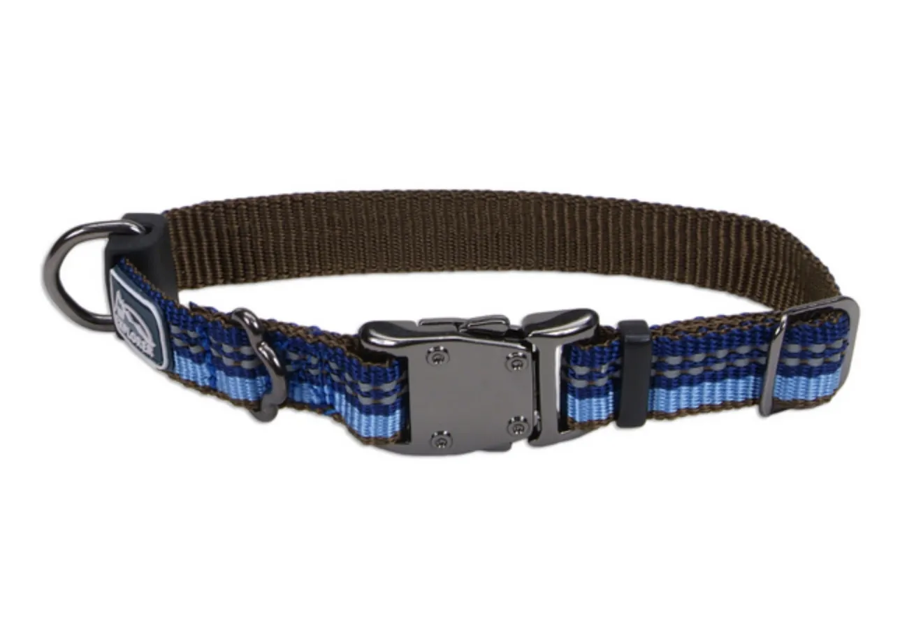 Coastal K9 Explorer Reflective Dog Collar