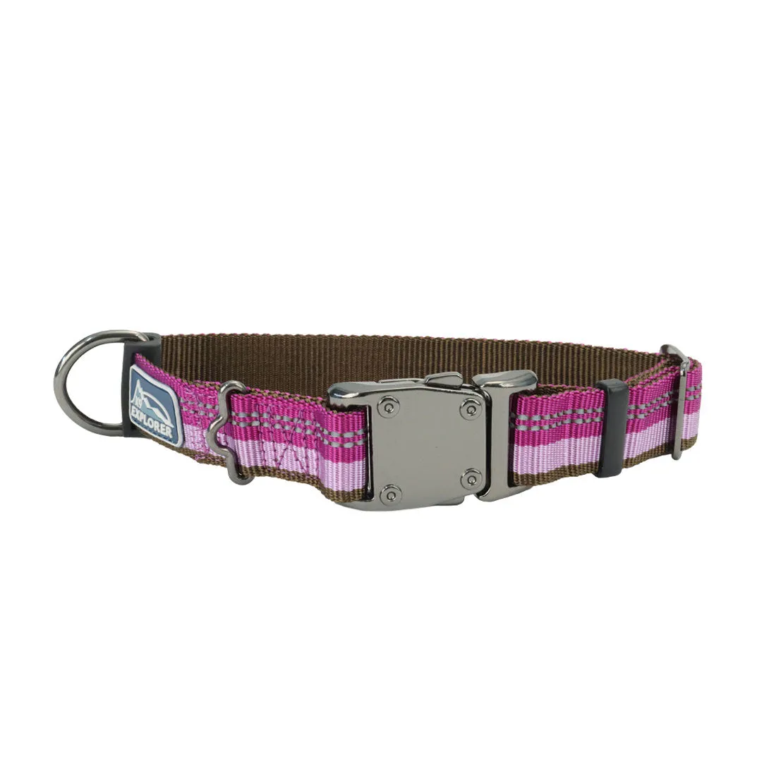 Coastal K9 Explorer Reflective Dog Collar