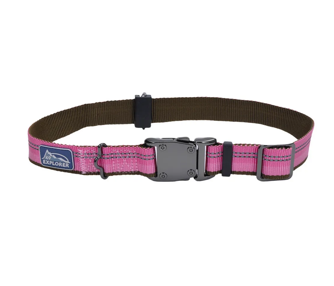 Coastal K9 Explorer Reflective Dog Collar