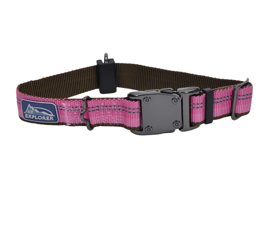 Coastal K9 Explorer Reflective Dog Collar