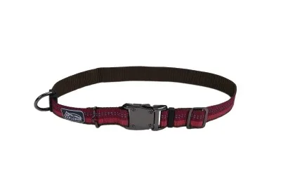 Coastal K9 Explorer Reflective Dog Collar