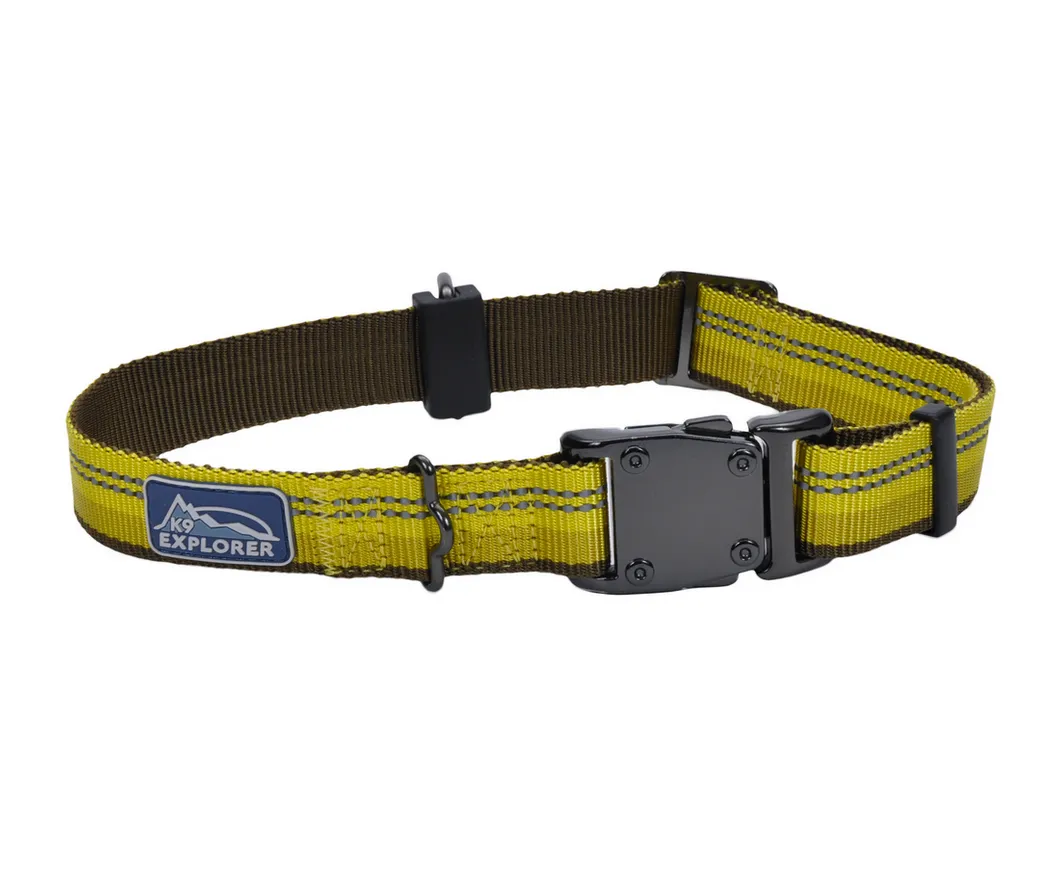 Coastal K9 Explorer Reflective Dog Collar