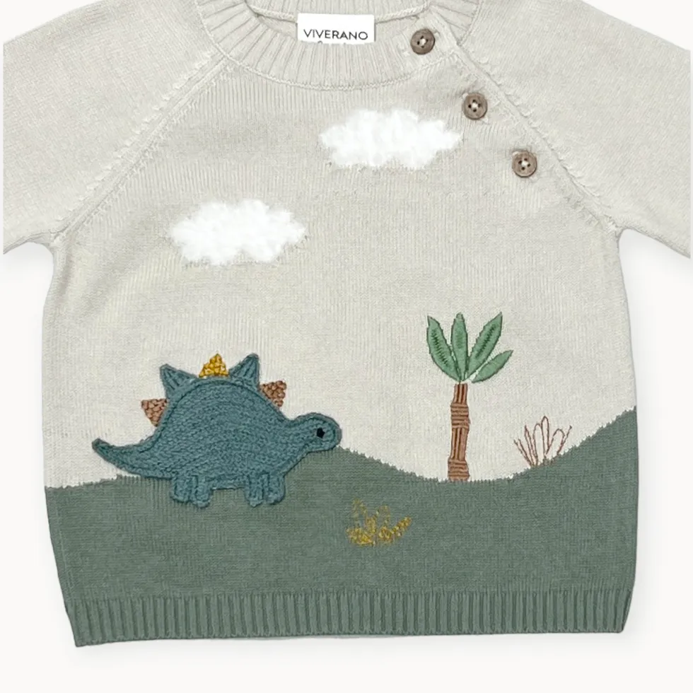 Dino Applique Button Baby Pullover Sweater