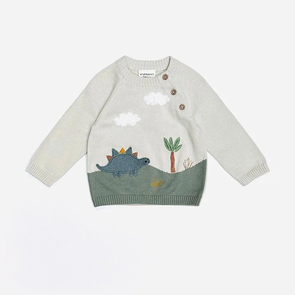 Dino Applique Button Baby Pullover Sweater