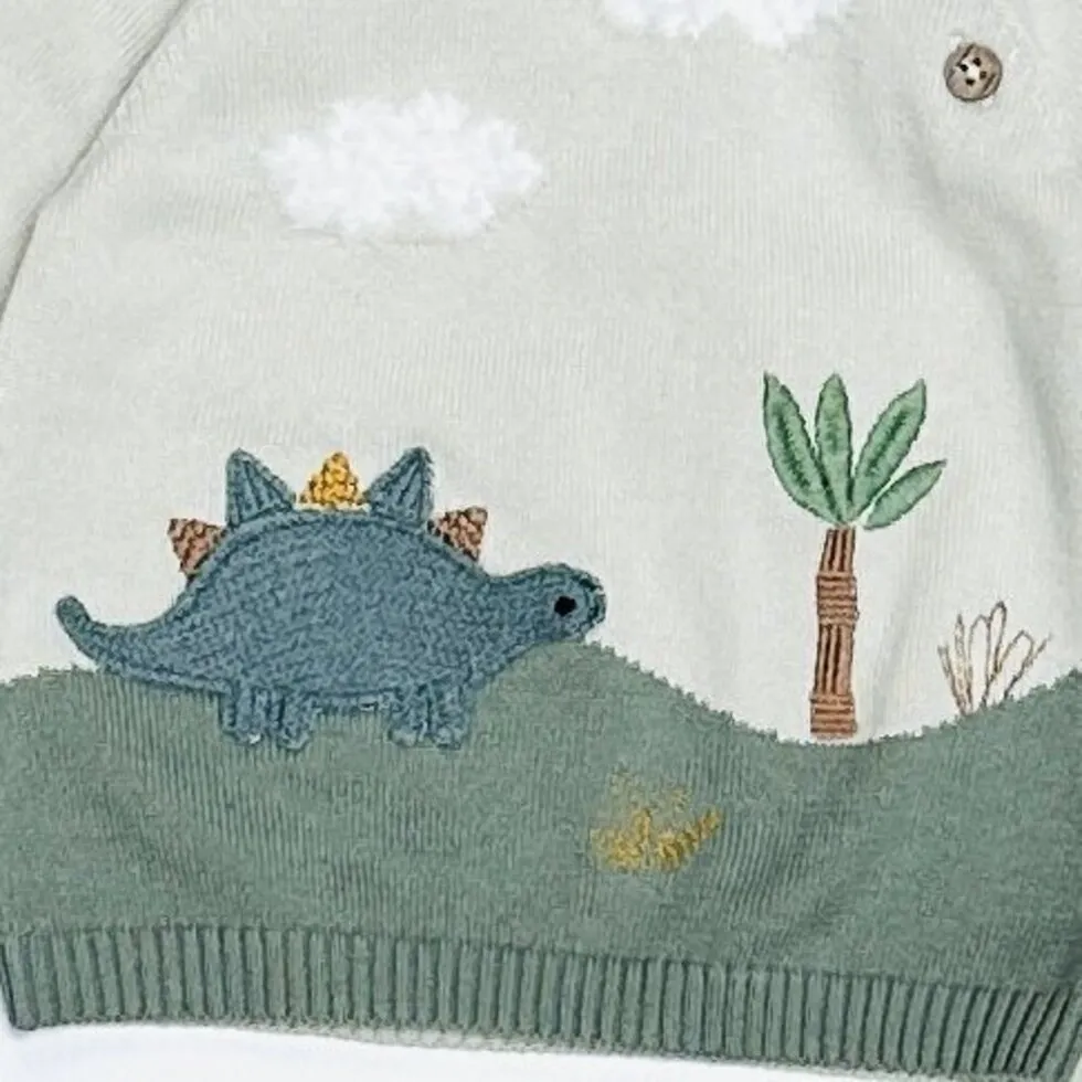 Dino Applique Button Baby Pullover Sweater