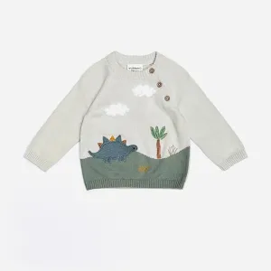 Dino Applique Button Baby Pullover Sweater