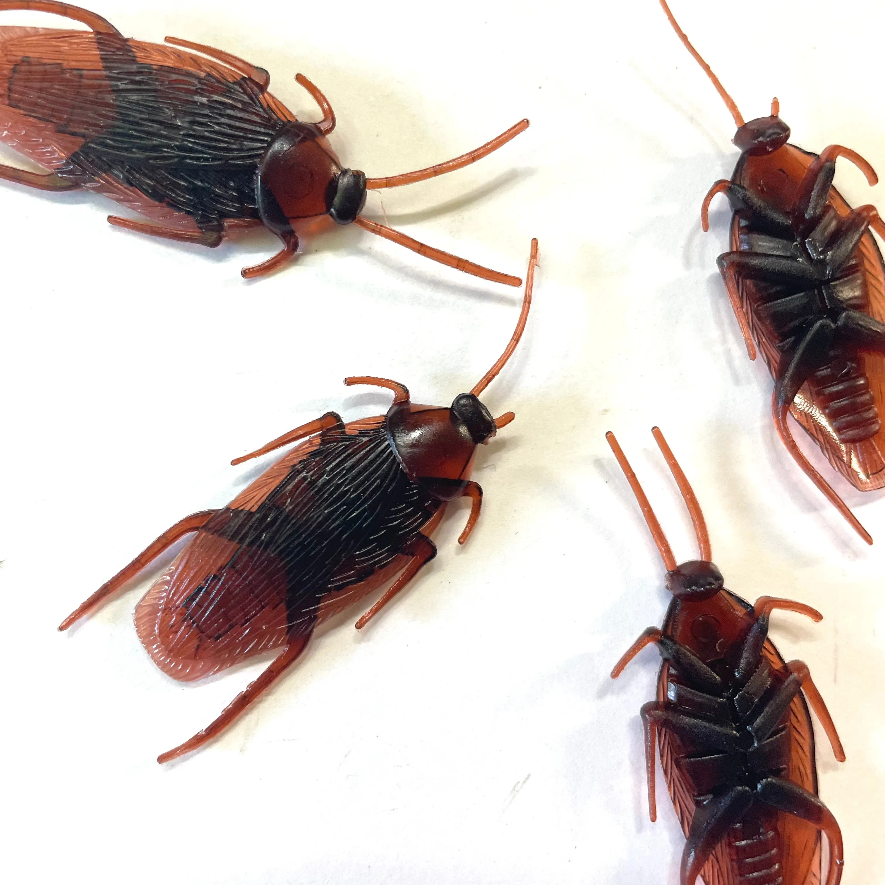 Halloween Fake Bug  Cockroaches - 12 pcs