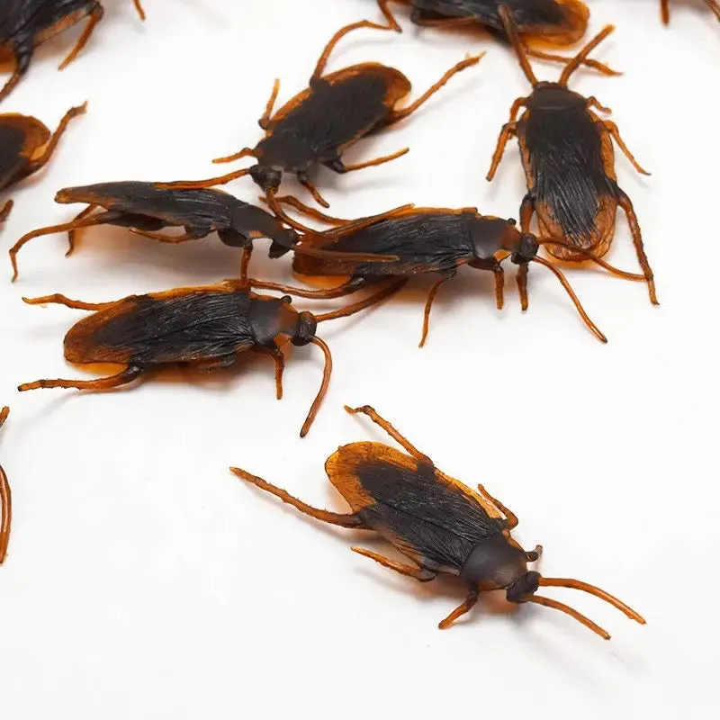 Halloween Fake Bug  Cockroaches - 12 pcs