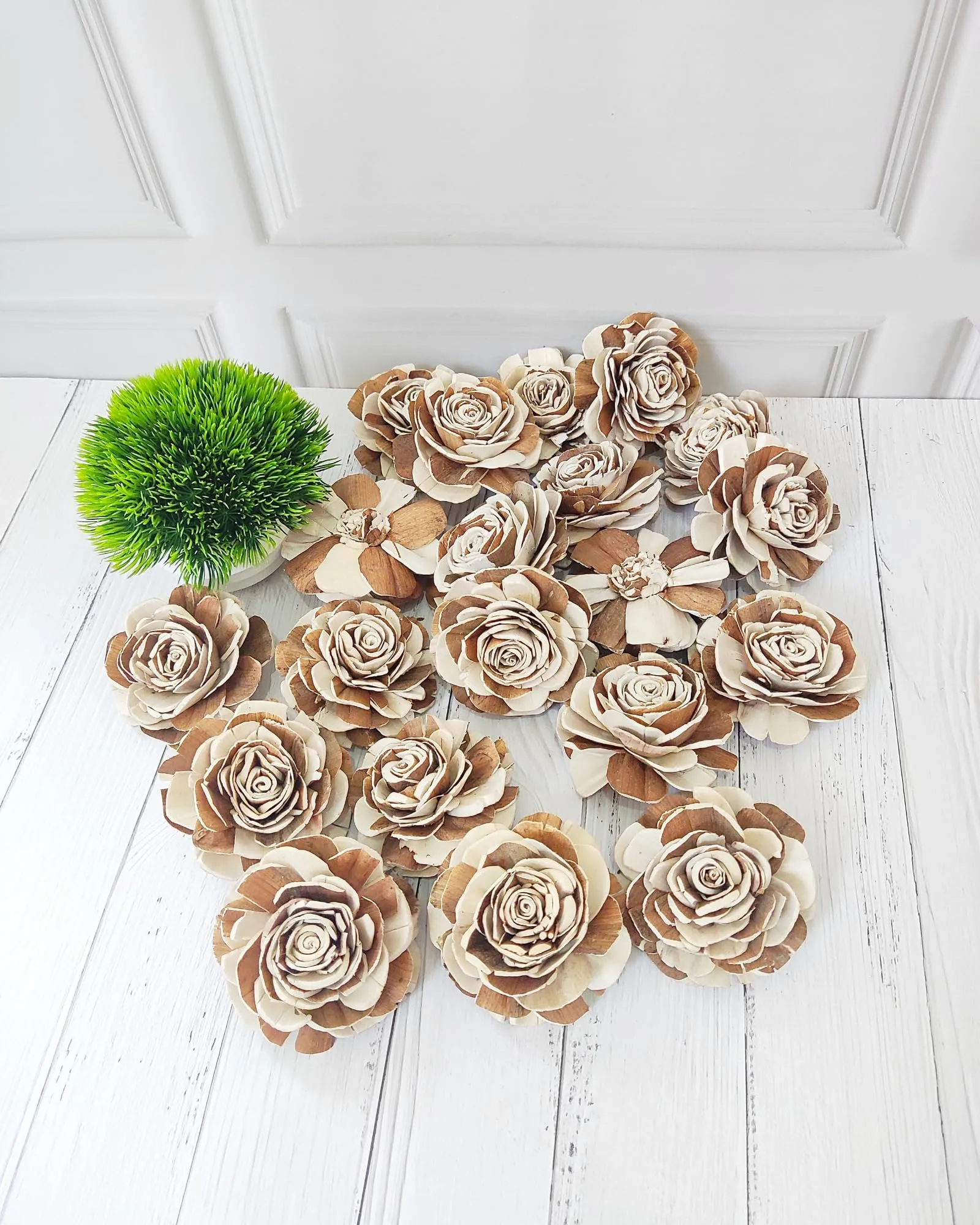 JOYNAGAR Eco-Friendly Sola Wood Raizel Flowers Pack of 20 pcs | Handcrafted Sustainable Floral Decor | Natural & Biodegradable | Wedding, Home, and Event Decoration (6 cm)