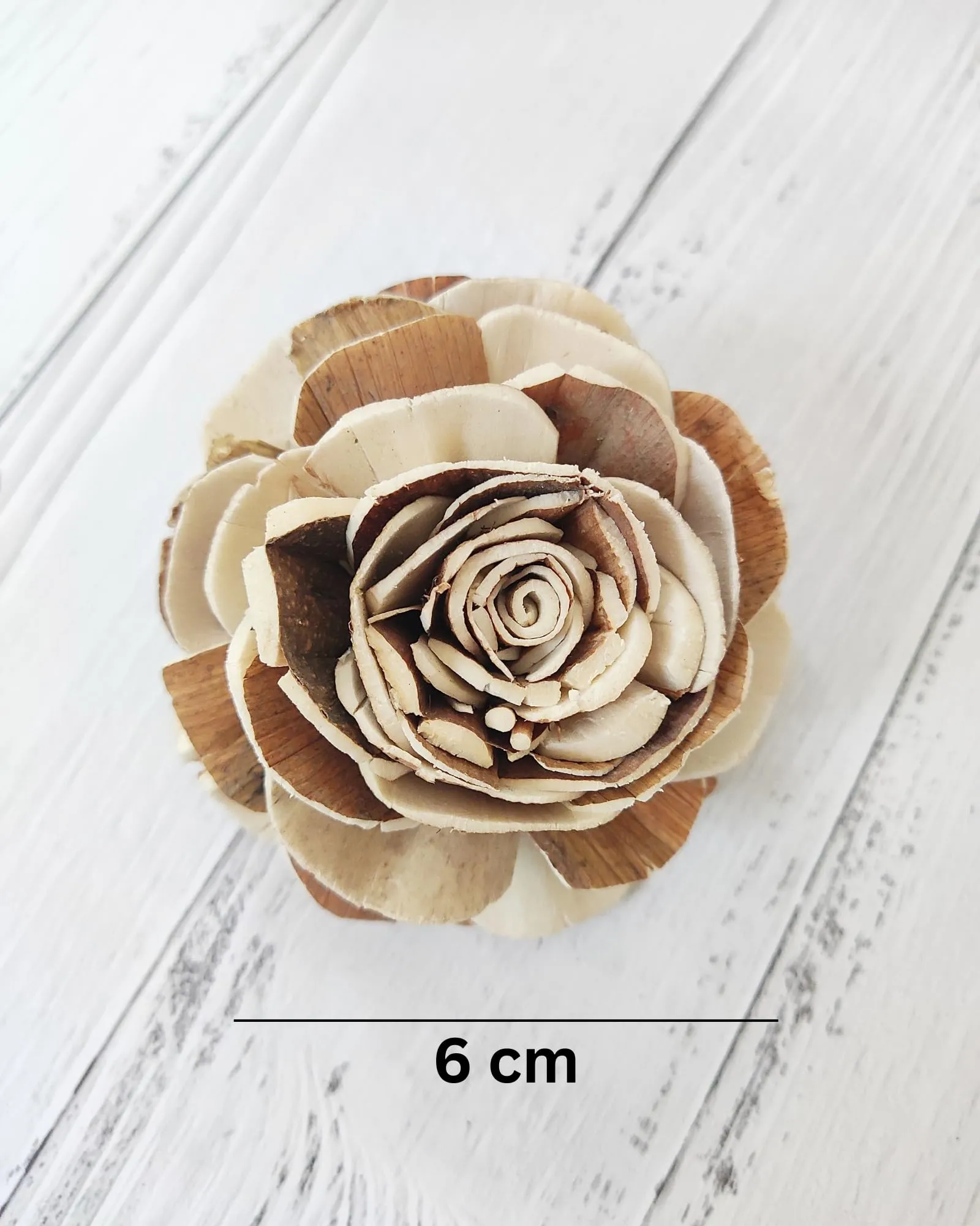 JOYNAGAR Eco-Friendly Sola Wood Raizel Flowers Pack of 20 pcs | Handcrafted Sustainable Floral Decor | Natural & Biodegradable | Wedding, Home, and Event Decoration (6 cm)