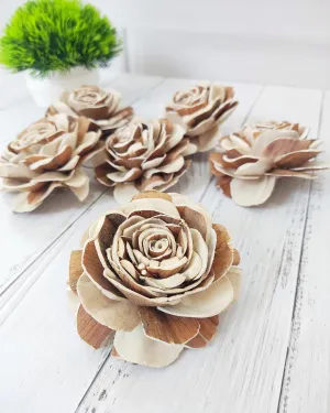 JOYNAGAR Eco-Friendly Sola Wood Raizel Flowers Pack of 20 pcs | Handcrafted Sustainable Floral Decor | Natural & Biodegradable | Wedding, Home, and Event Decoration (6 cm)