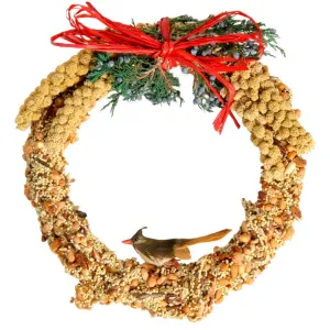 Rustic Bird Seed Treat Wreath