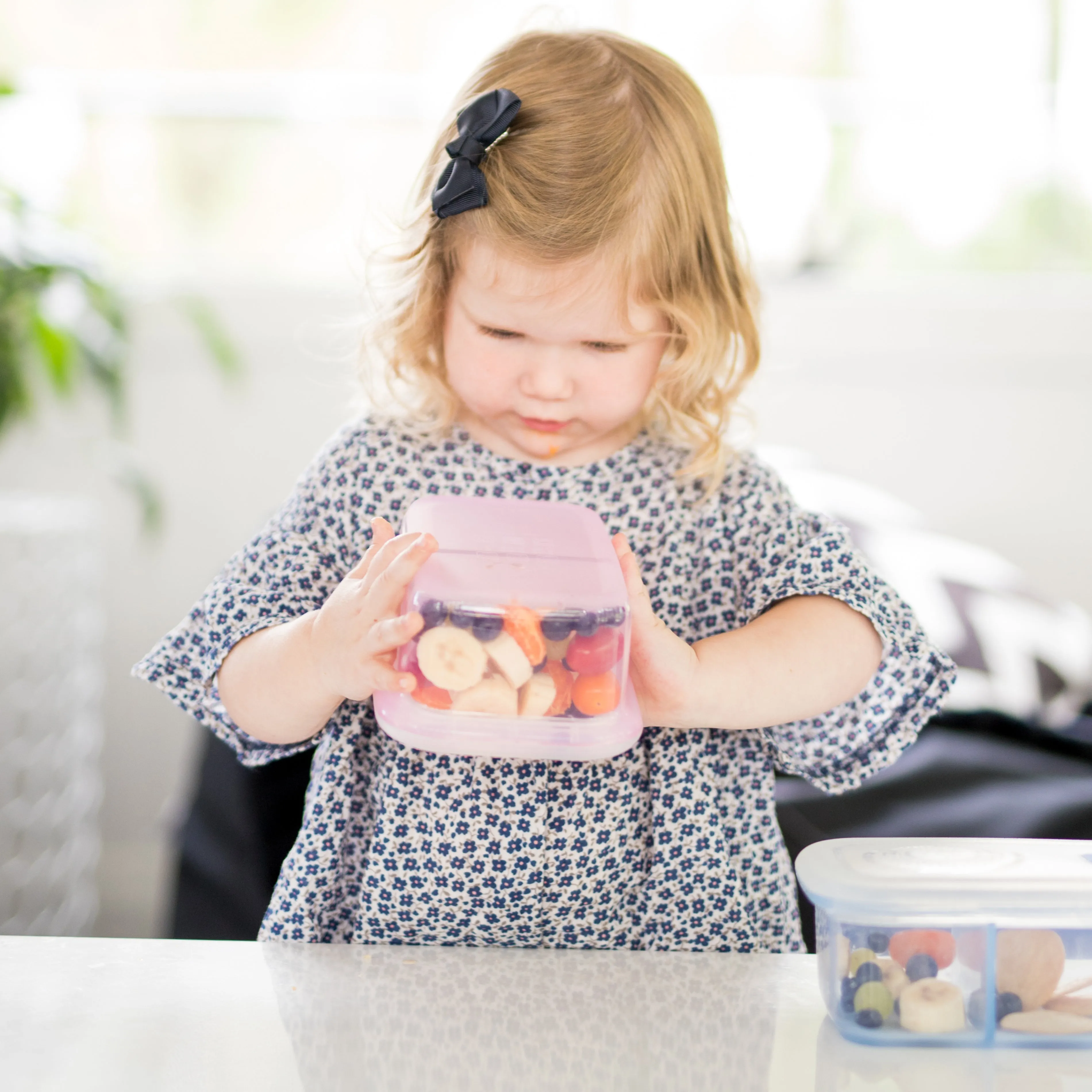 Silicone Leak Proof Food Container - 2 Compartment Lunchbox (900ml)